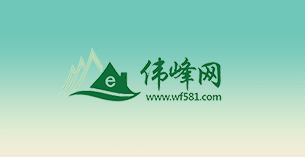伟峰网